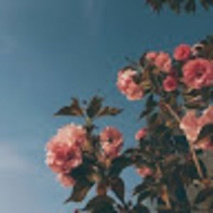 Meet your Posher, Zaheria